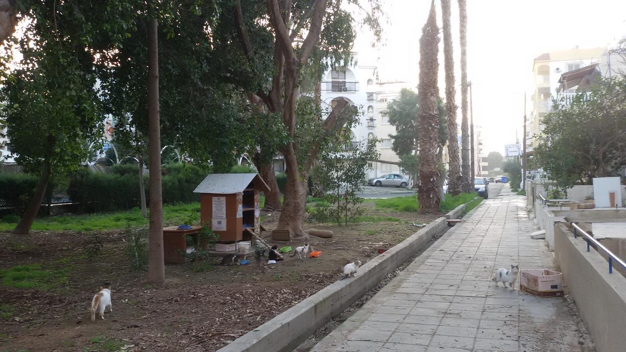 Lca2 Flat For You Apartment Larnaka Exterior foto
